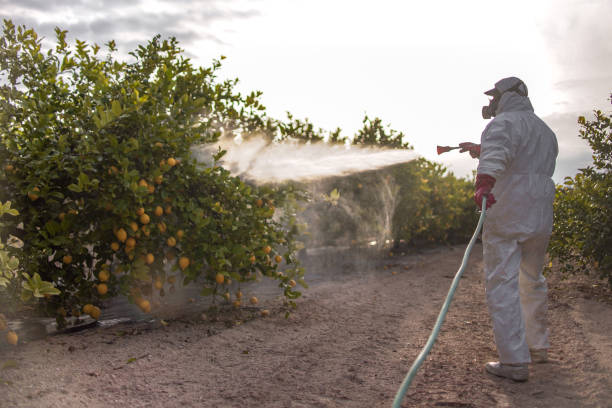 Pest Control Cost in Mission Viejo, CA