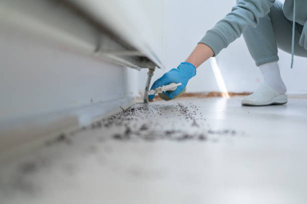  Mission Viejo, CA Pest Control Pros